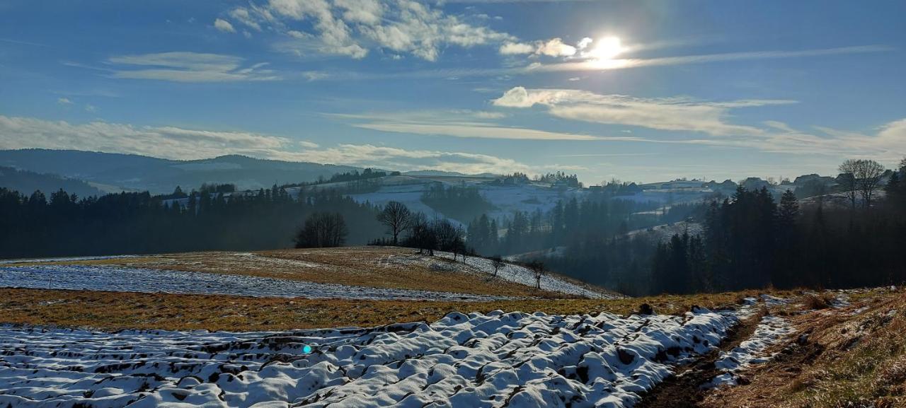 Domek Do Wynajecia Skoski Jaworzynka Dış mekan fotoğraf